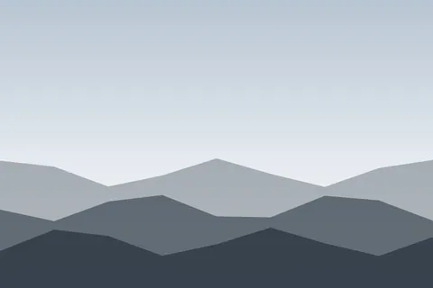 Spruce in fog
